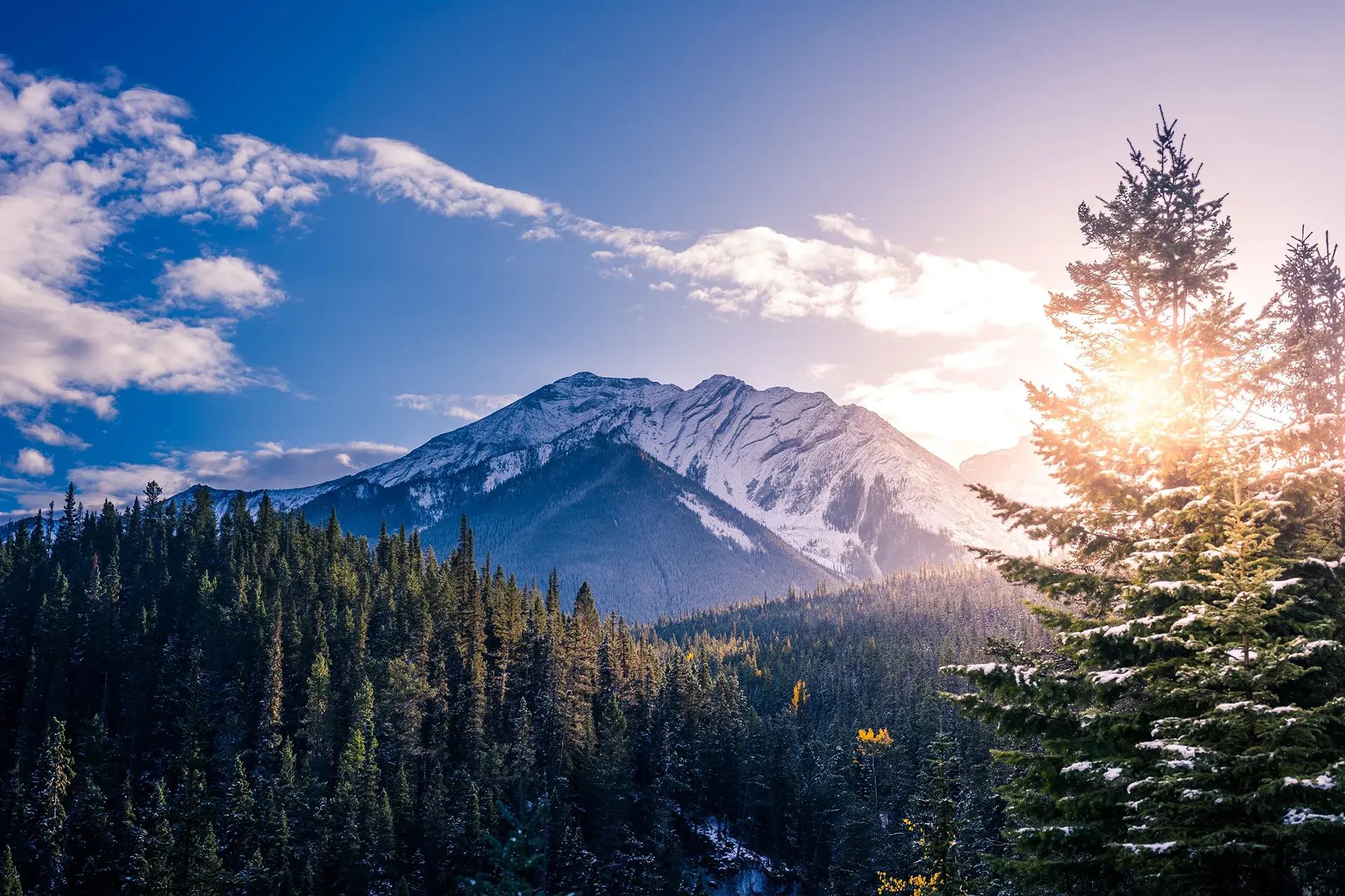 canada-employment-guide