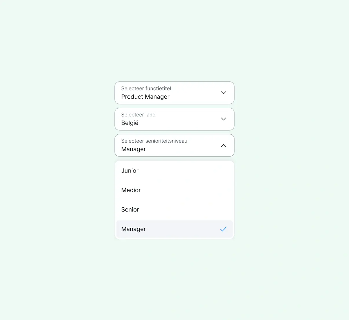 get-precise-insights_dutch@2x