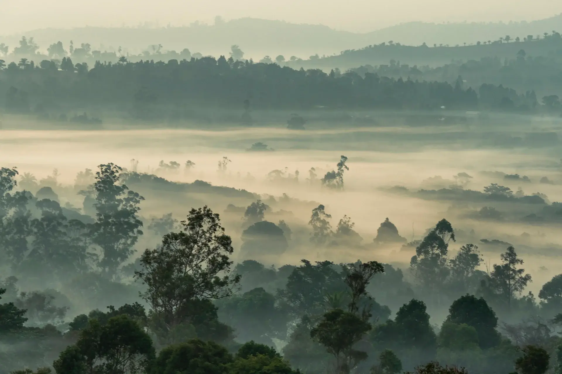 View Cameroon State Explorer