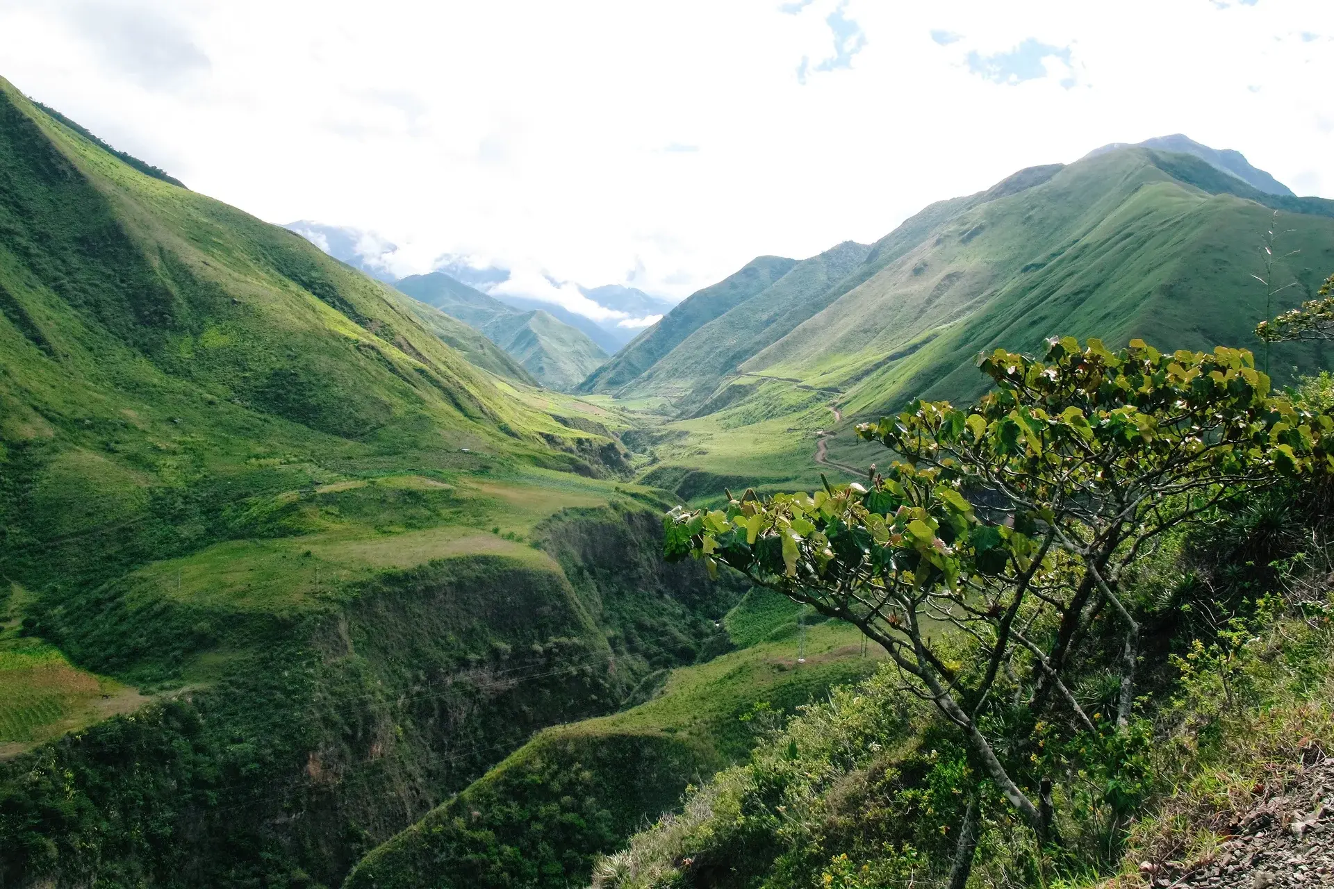 View Ecuador State Explorer