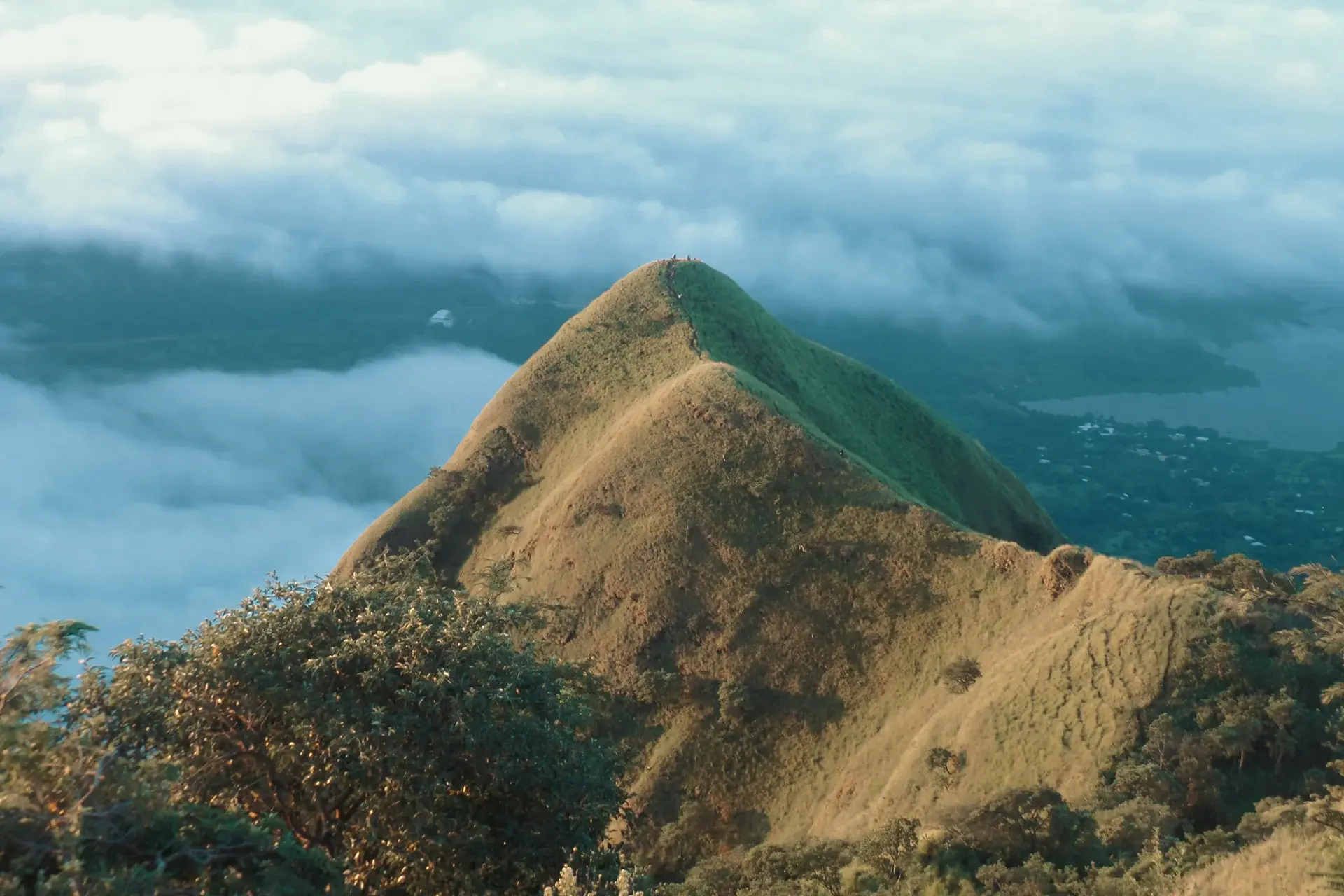 View El Salvador State Explorer