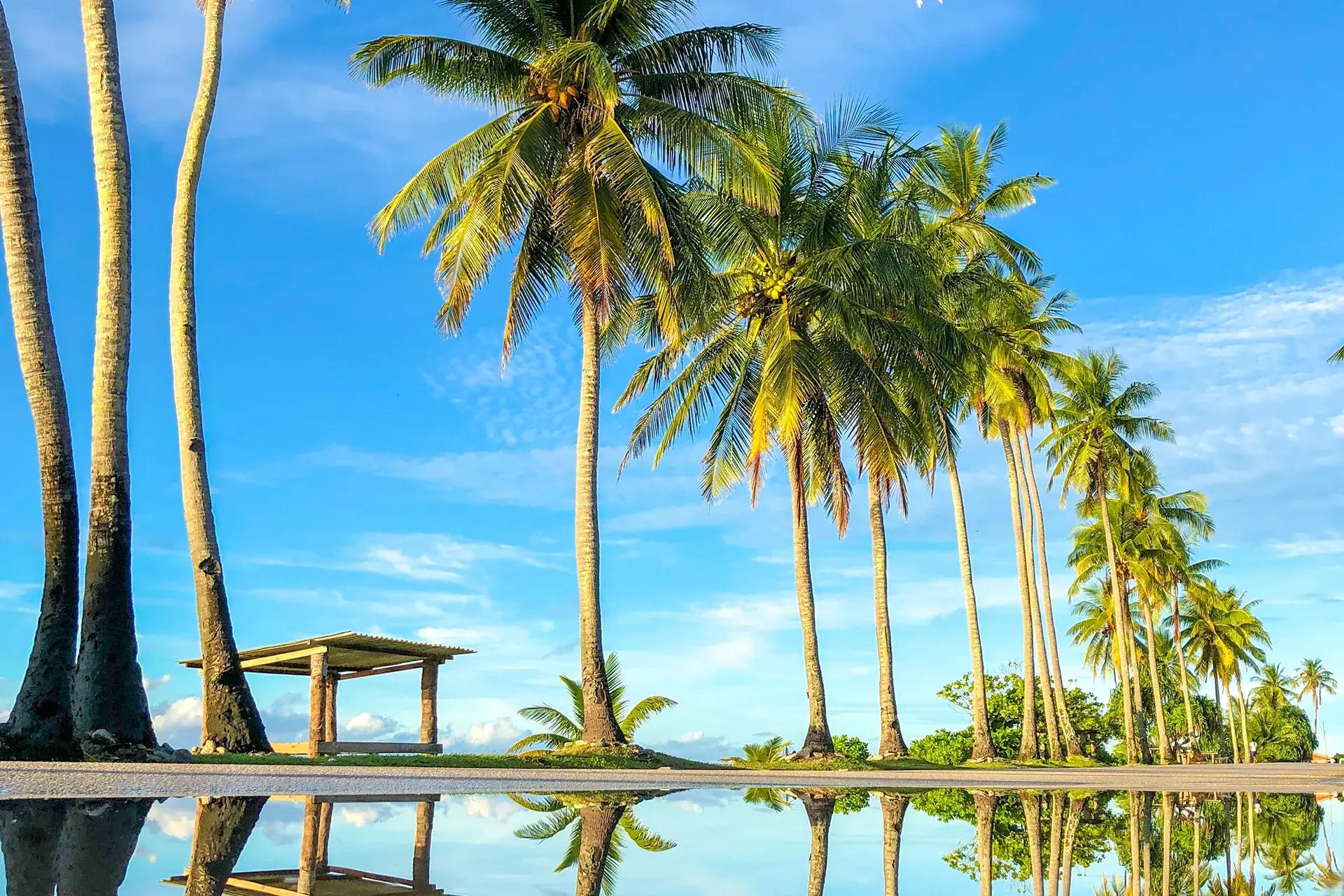 View Nauru State Explorer