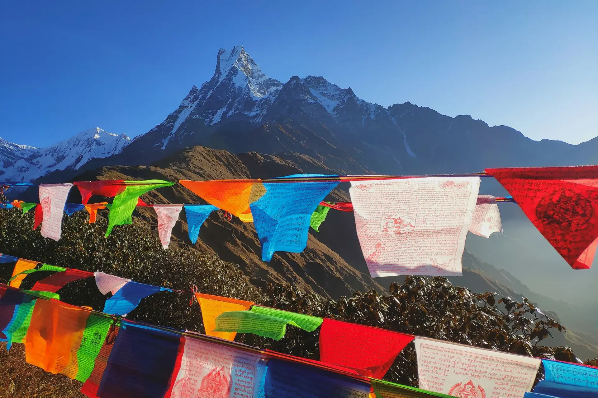 View Nepal State Explorer