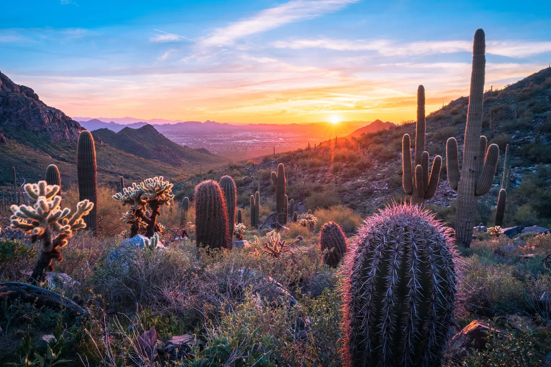 View Arizona State Explorer